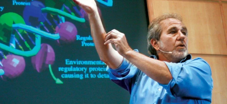 Resultado de imagem para Bruce Lipton