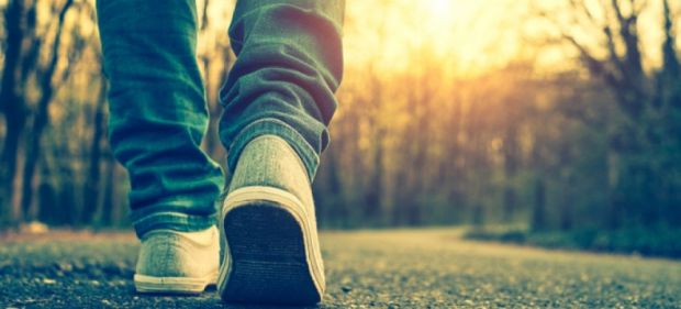 O Campo Minado Da Ascensão