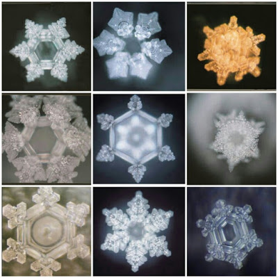 Os Registros Akashicos